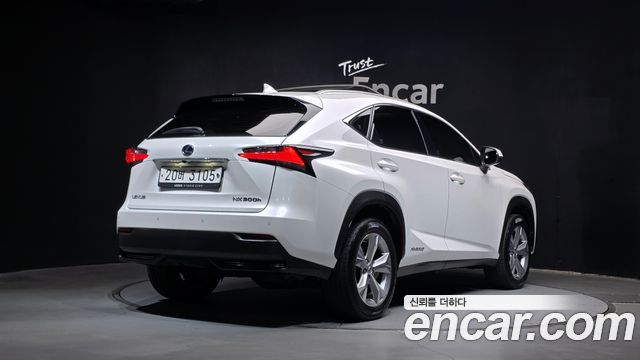 Lexus NX 2017 — photo 2