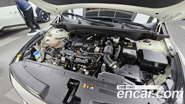 Kia Sportage 2024 — photo 6