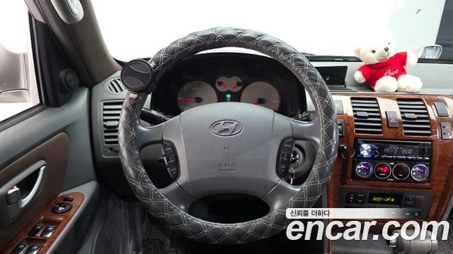 Hyundai Terracan 2006 — photo 12
