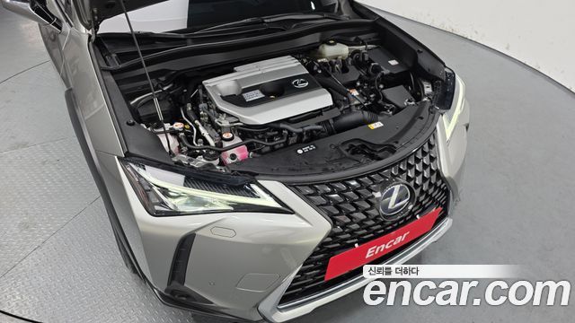 Lexus UX 2021 — photo 6