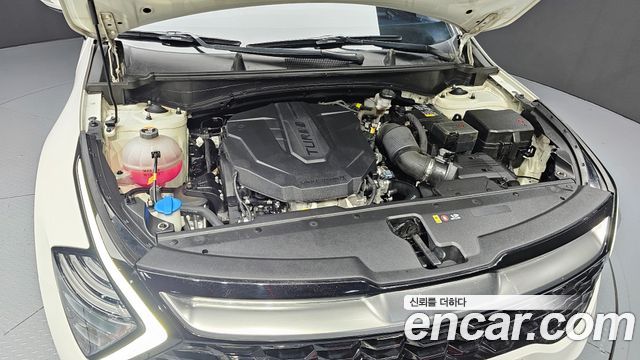 Kia Sportage 2022 — photo 6