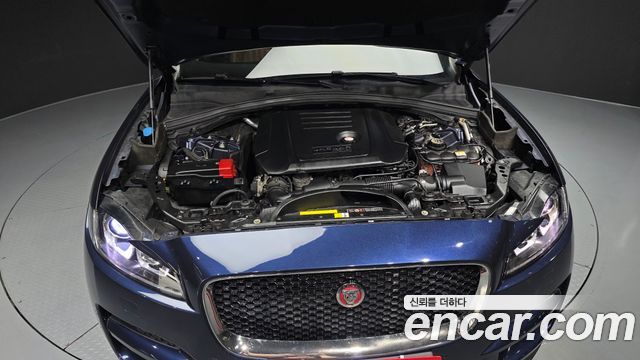 Jaguar F-PACE 2017 — photo 6