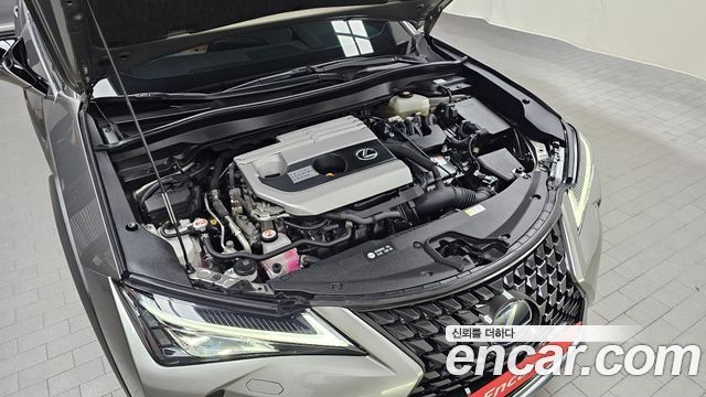 Lexus UX 2020 — photo 6