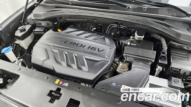 Hyundai Santafe 2019 — photo 6