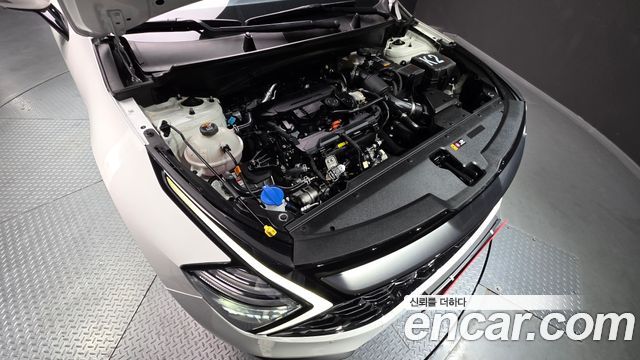 Kia Sportage 2024 — photo 6