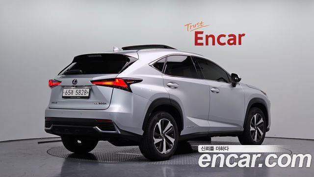 Lexus NX 2019 — photo 2
