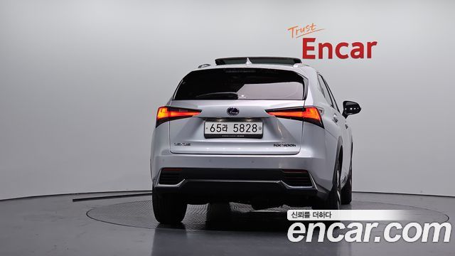 Lexus NX 2019 — photo 4