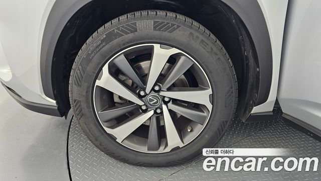 Lexus NX 2019 — photo 5
