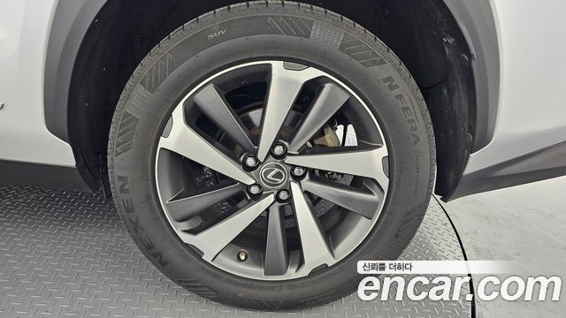 Lexus NX 2019 — photo 7