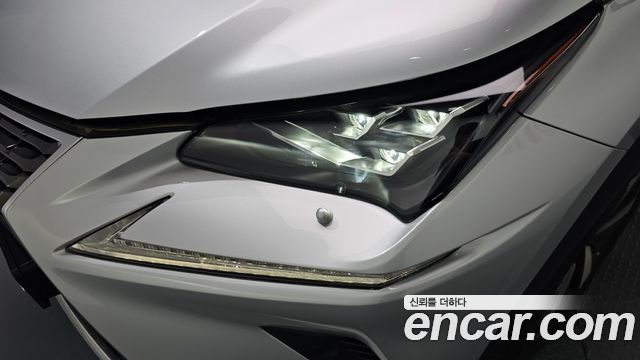 Lexus NX 2019 — photo 8