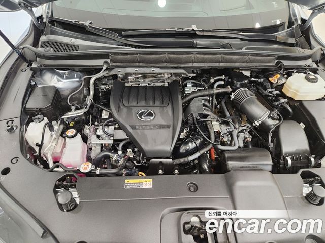 Lexus RX 2024 — photo 6