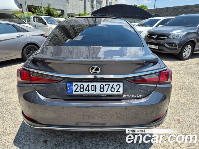 Lexus ES 2023 — photo 5