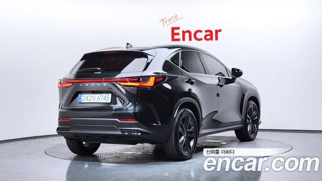 Lexus NX 2025 — photo 2