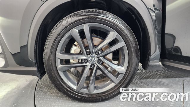 Lexus NX 2025 — photo 5
