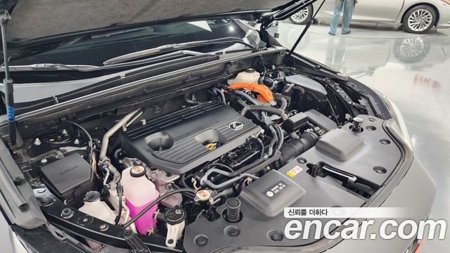 Lexus NX 2025 — photo 6