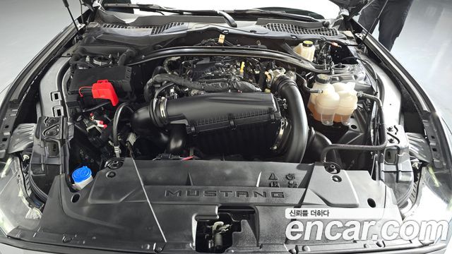 Ford Mustang 2024 — photo 6