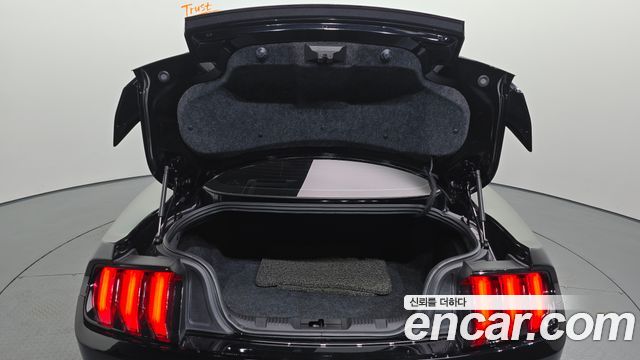 Ford Mustang 2019 — photo 16