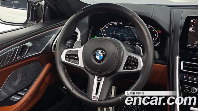 BMW 8-Series 2025 — photo 13