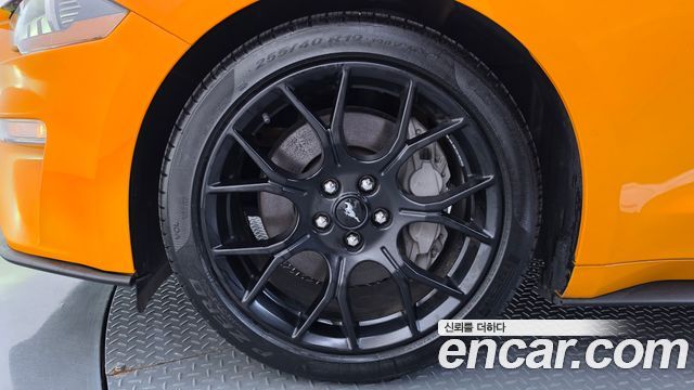 Ford Mustang 2019 — photo 5