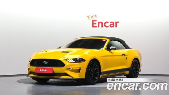 Ford Mustang 2019 — photo 32