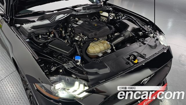 Ford Mustang 2021 — photo 6