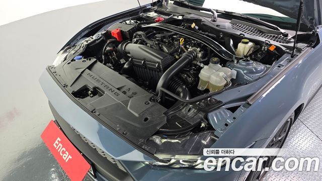 Ford Mustang 2024 — photo 6