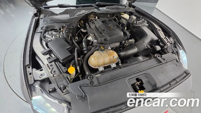 Ford Mustang 2017 — photo 6