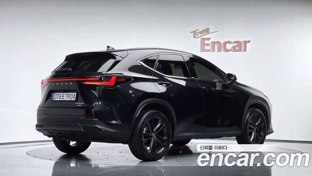 Lexus NX 2025 — photo 2