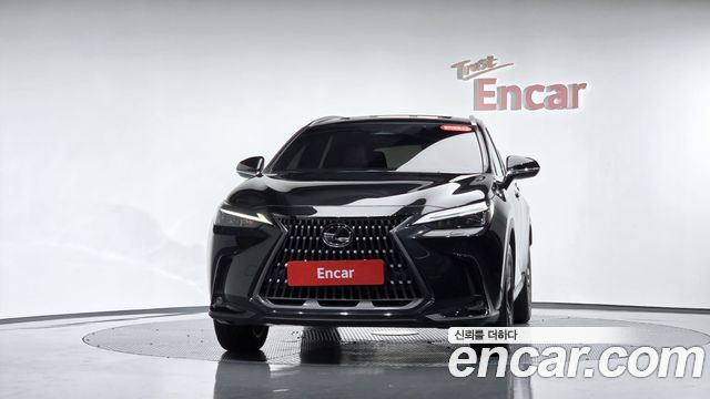 Lexus NX 2025 — photo 3