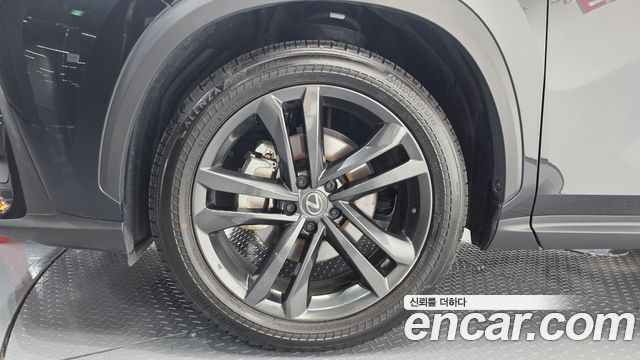 Lexus NX 2025 — photo 5
