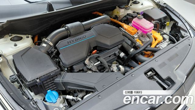 Kia Sportage 2023 — photo 6