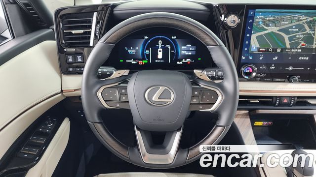 Lexus LM 2025 — photo 19