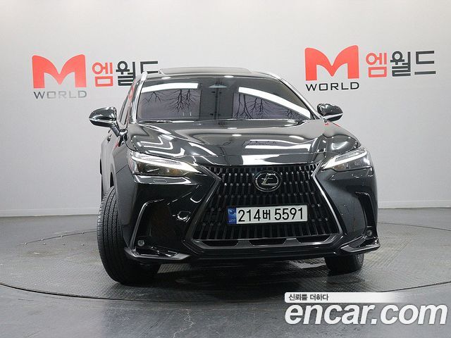 Lexus NX 2025 — photo 2