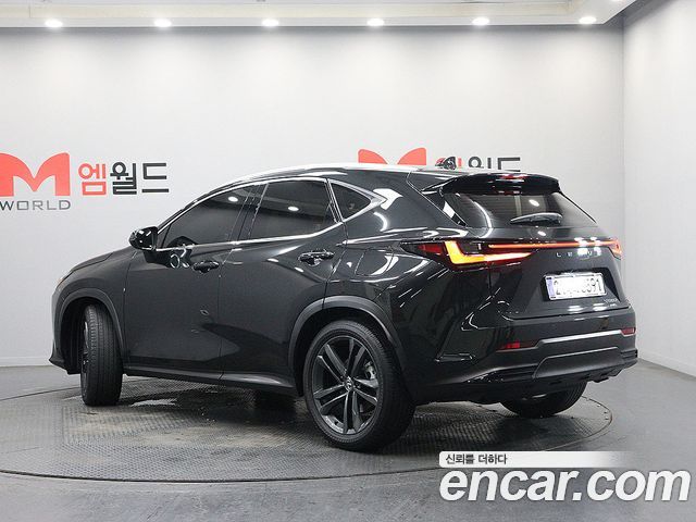 Lexus NX 2025 — photo 4