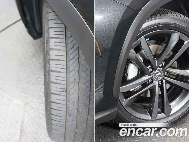 Lexus NX 2025 — photo 20