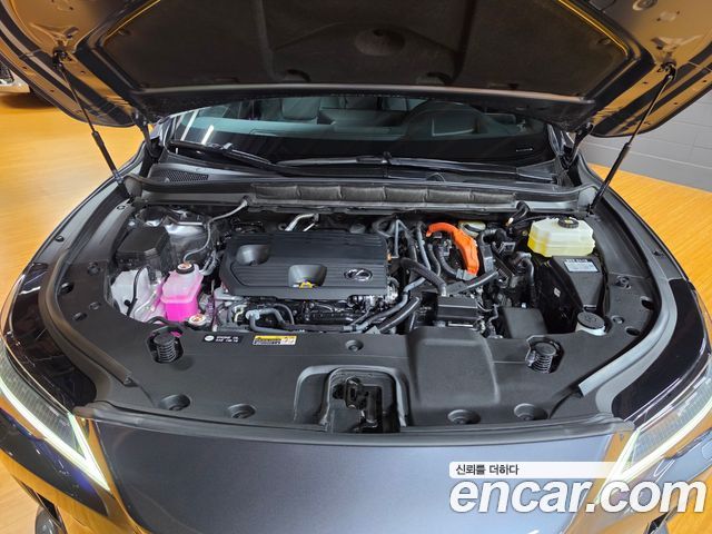 Lexus RX 2025 — photo 6