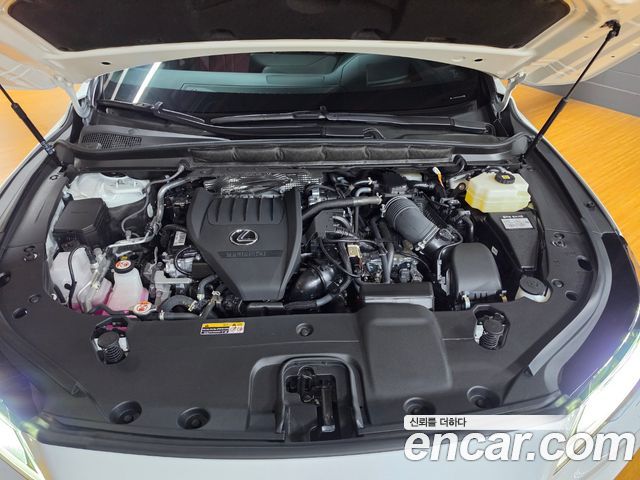Lexus RX 2025 — photo 6
