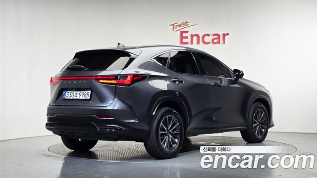 Lexus NX 2024 — photo 2