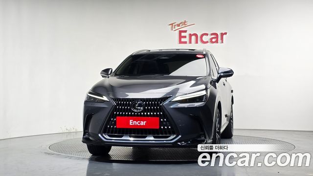 Lexus NX 2024 — photo 3