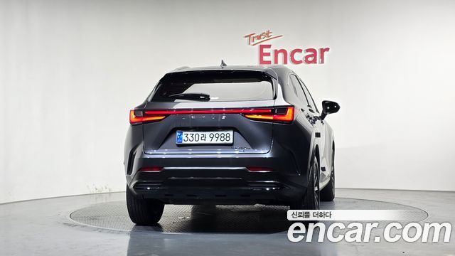 Lexus NX 2024 — photo 4
