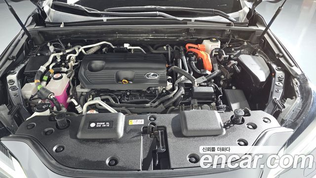 Lexus NX 2024 — photo 6