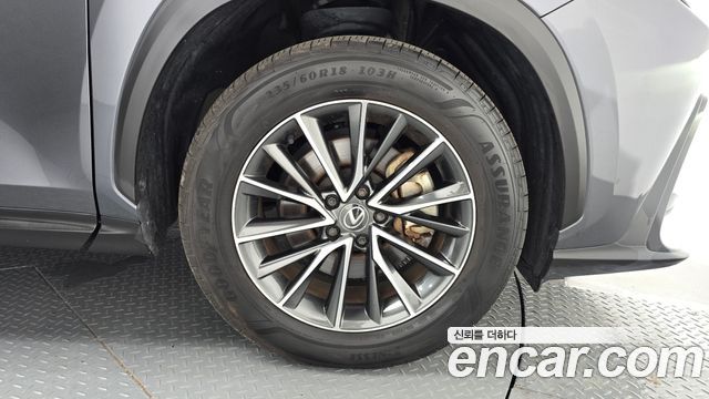 Lexus NX 2024 — photo 7