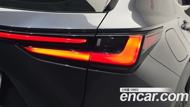 Lexus NX 2024 — photo 9