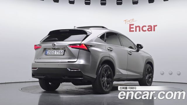 Lexus NX 2017 — photo 2
