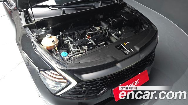 Kia Sportage 2023 — photo 6