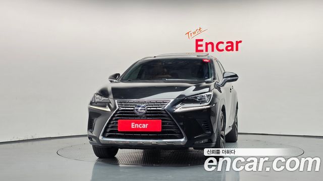 Lexus NX 2020 — photo 3