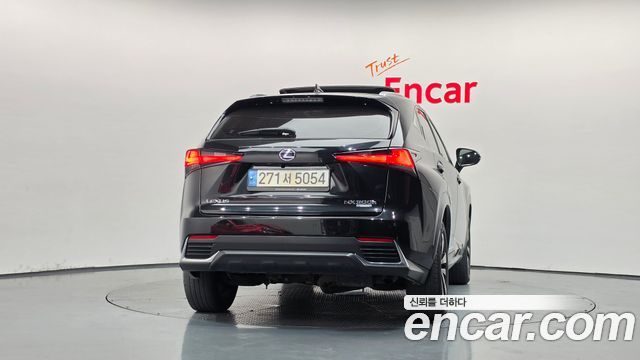 Lexus NX 2020 — photo 4