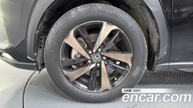 Lexus NX 2020 — photo 5