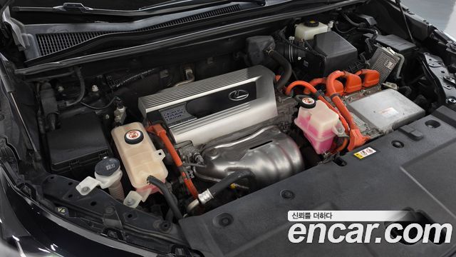 Lexus NX 2020 — photo 6