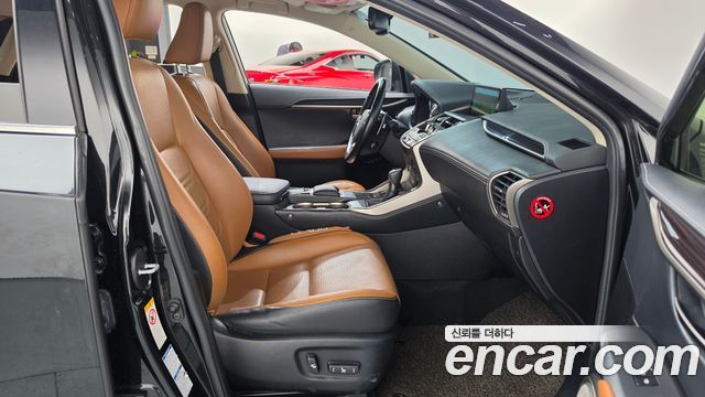 Lexus NX 2020 — photo 11